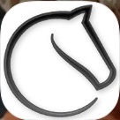 Lichess Icon